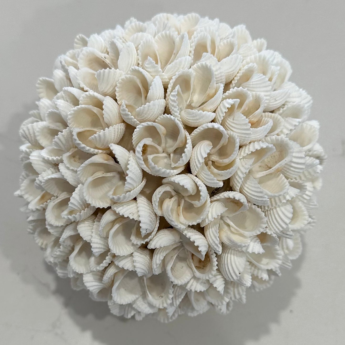 Shells Ball | Frangipani | 3 Sizes