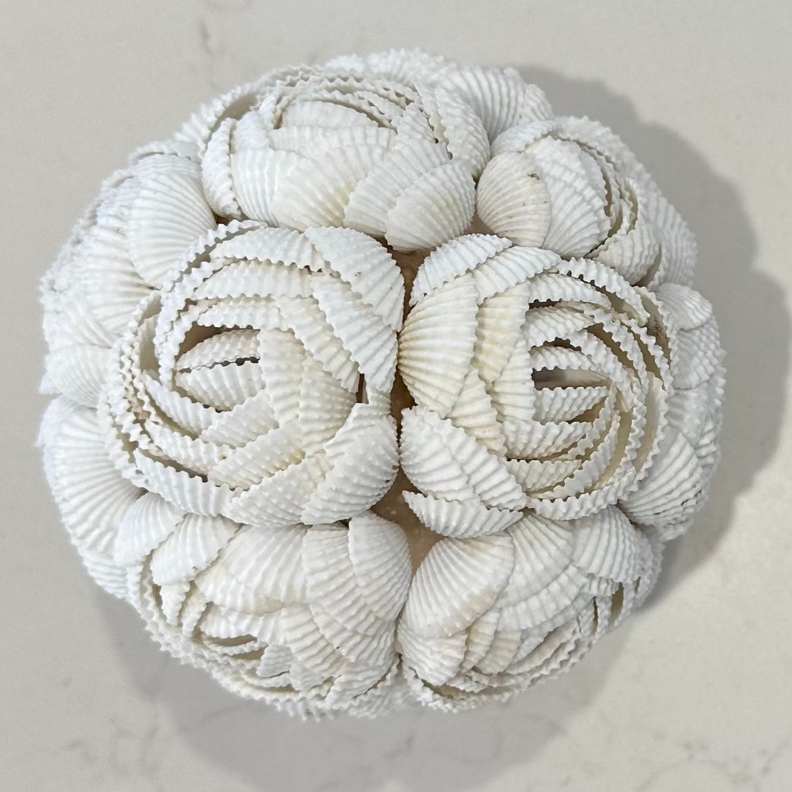 Shells Ball | ROSE | 3 Sizes