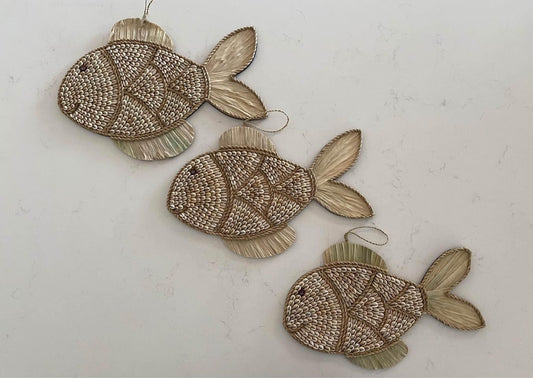 Fish Shell Wall Hanging | COWRIE