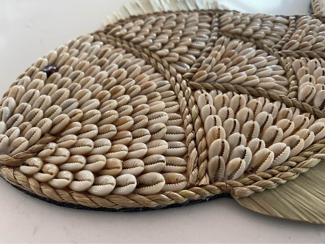 Fish Shell Wall Hanging | COWRIE