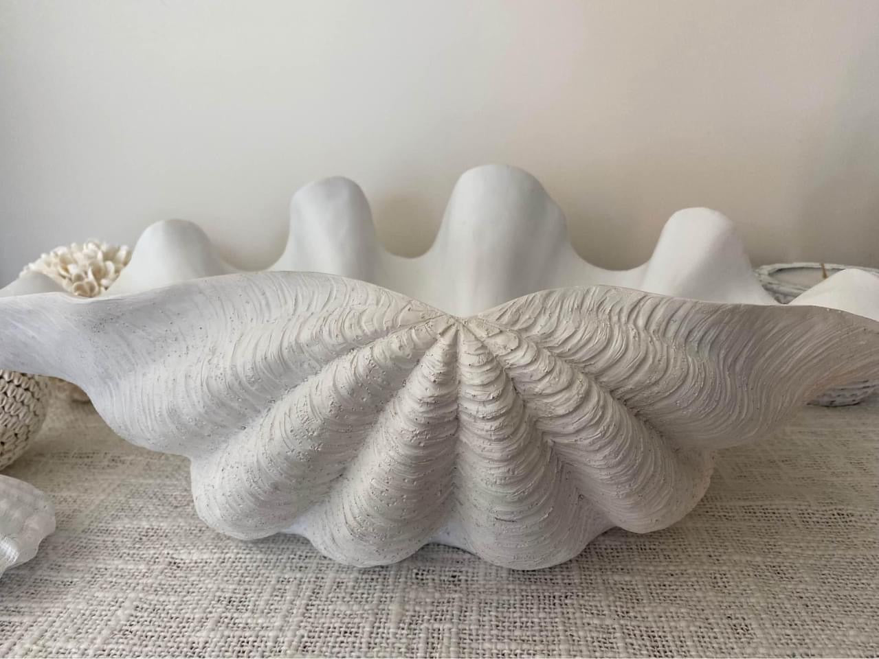 Resin CLAM Shell | XL | Giant