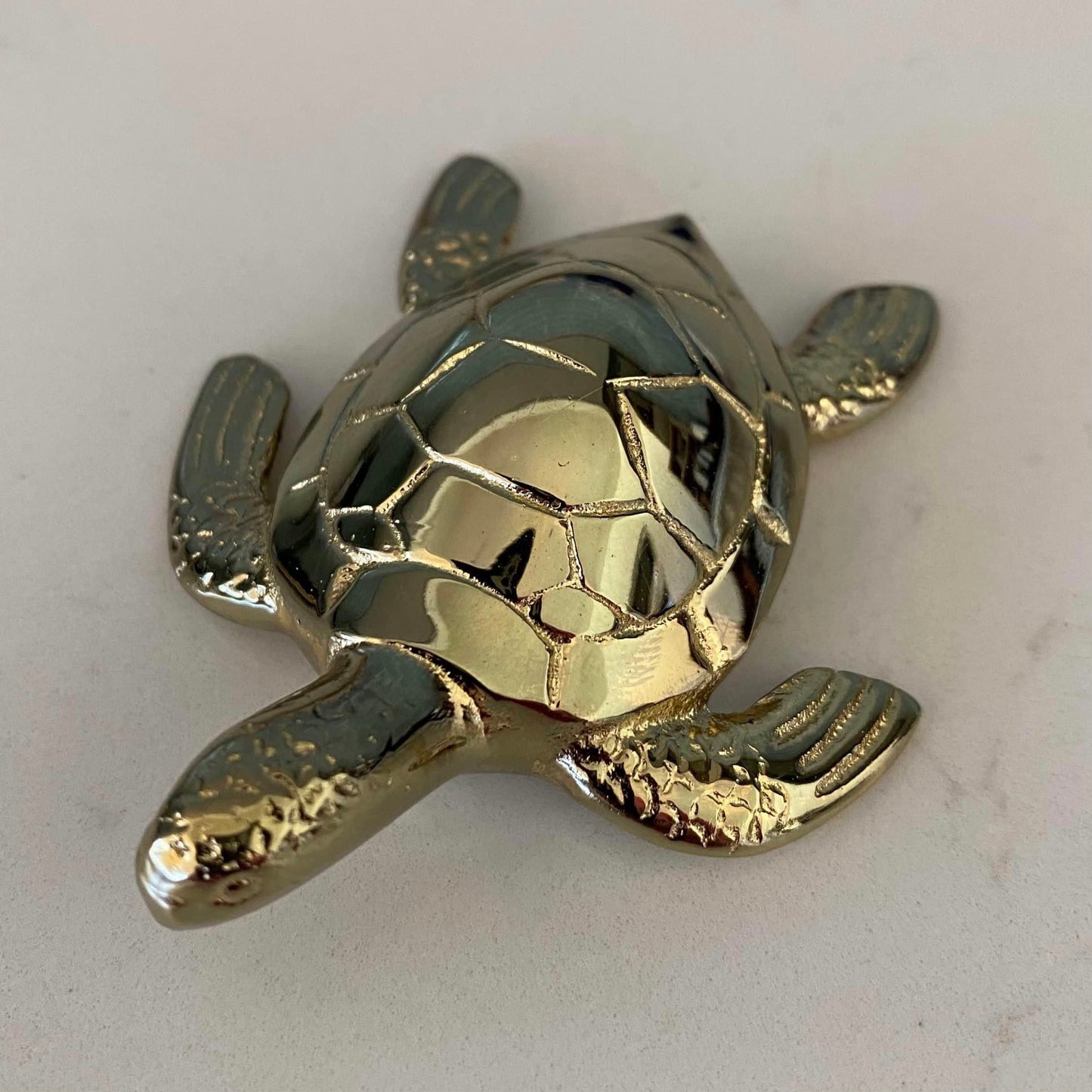 Brass Baby Turtle | Silver / Shiny Gold