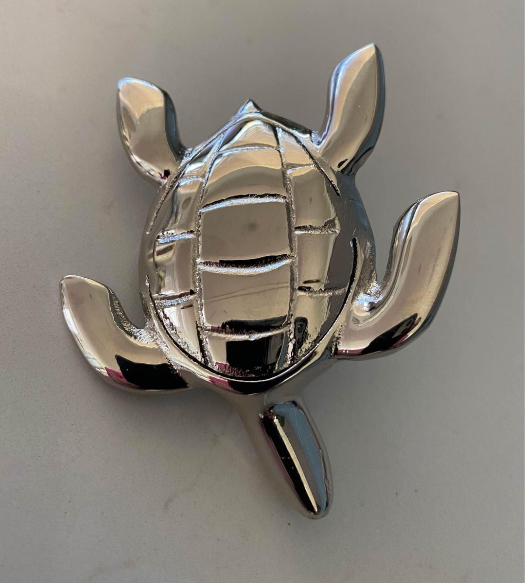 Brass Baby Turtle | Silver / Shiny Gold