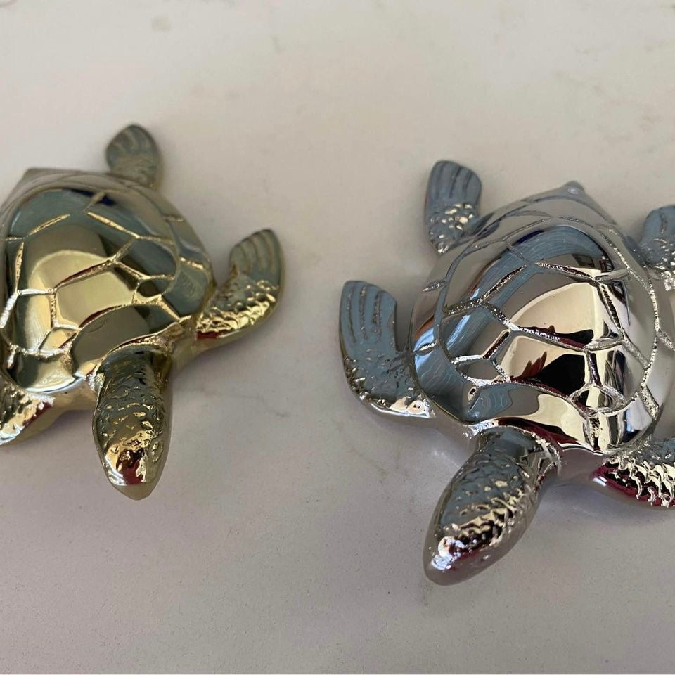 Brass Baby Turtle | Silver / Shiny Gold