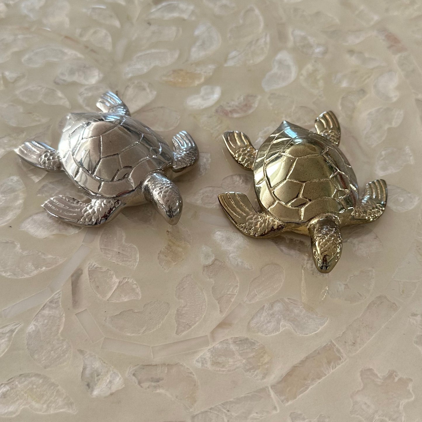 Brass Baby Turtle | Silver / Shiny Gold