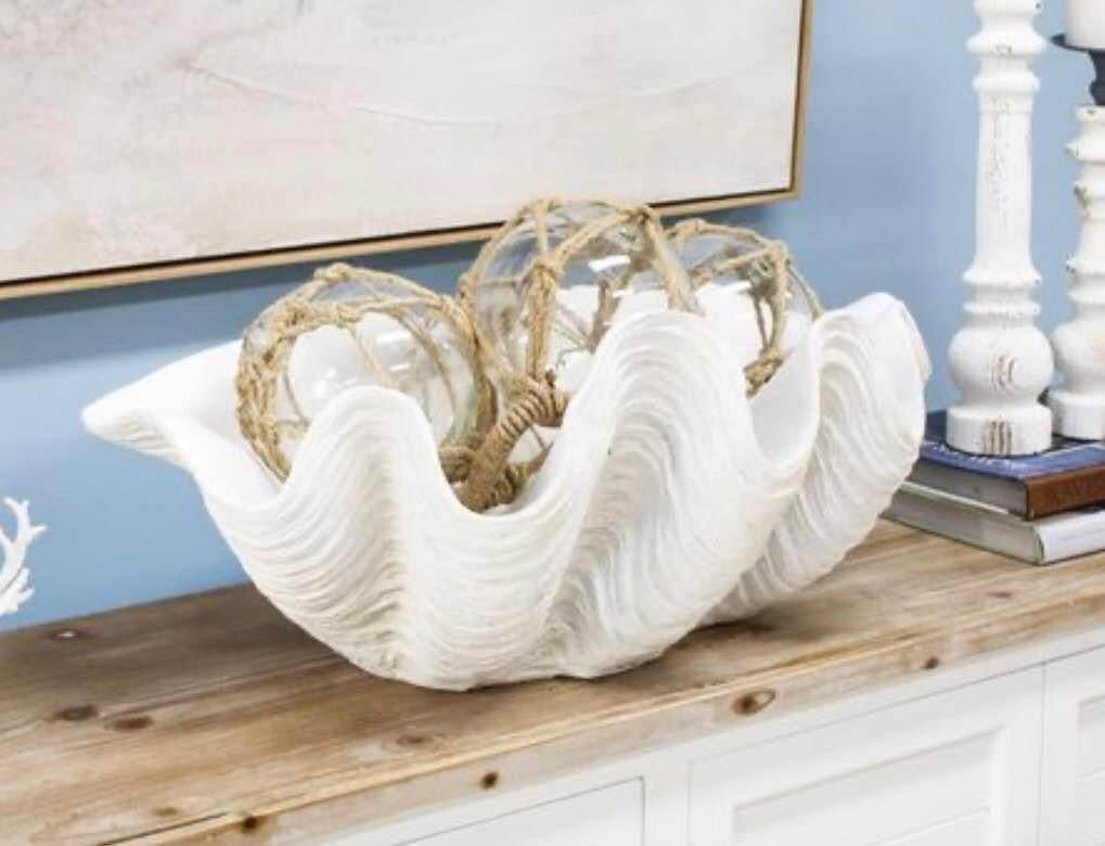 Resin CLAM Shell | XL | Giant