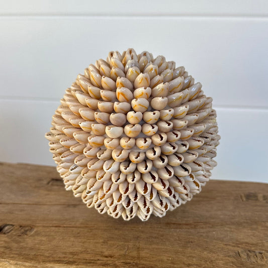 Shells Ball | COWRIE | SECOND