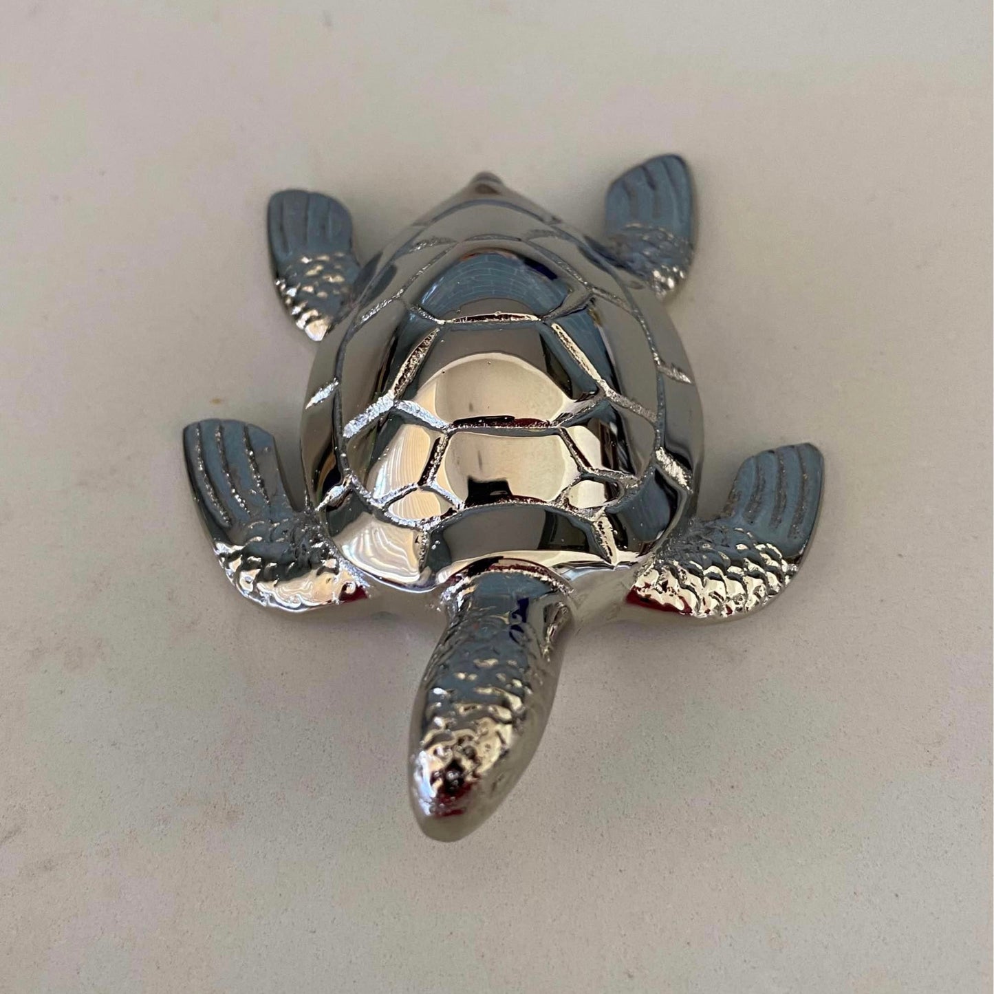 Brass Baby Turtle | Silver / Shiny Gold