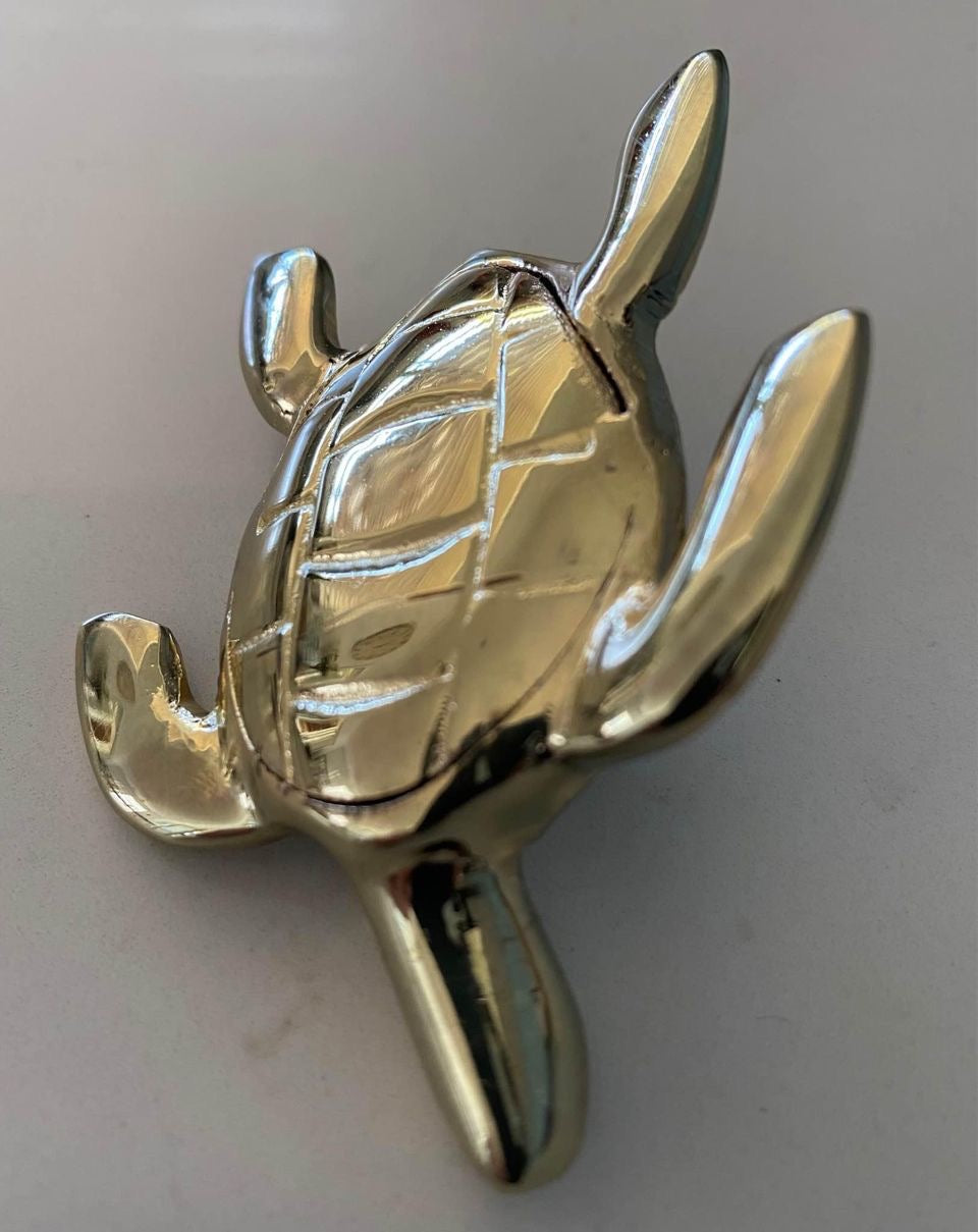 Brass Baby Turtle | Silver / Shiny Gold