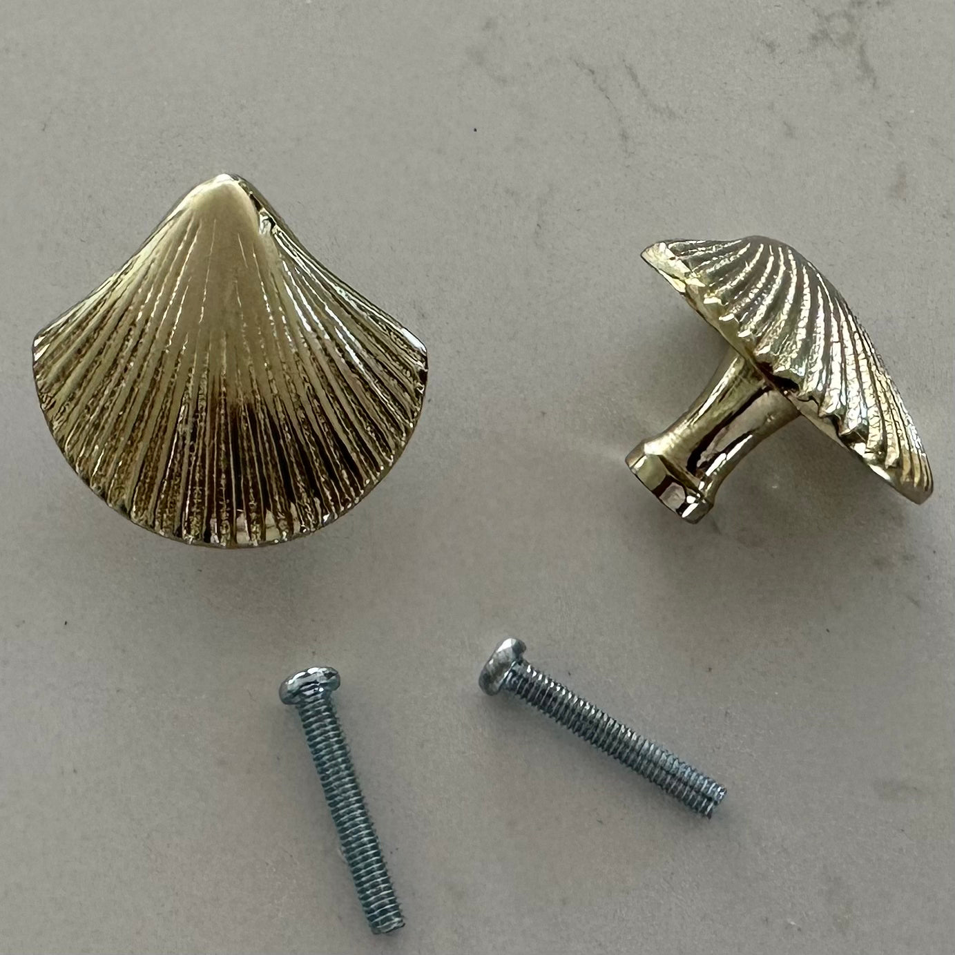 Brass Draw Knob/Pull | Shell