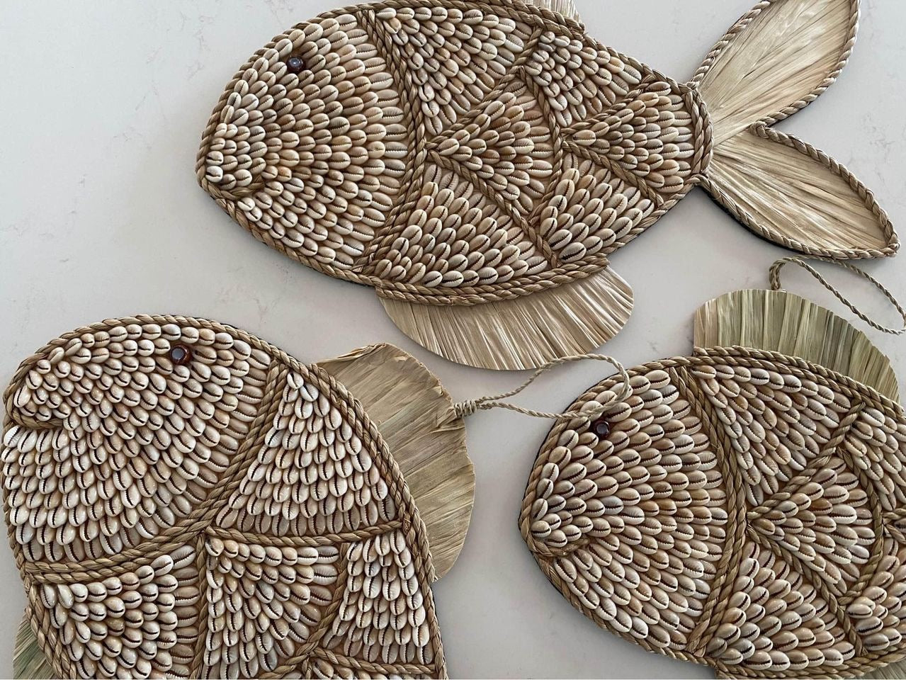 Fish Shell Wall Hanging | COWRIE