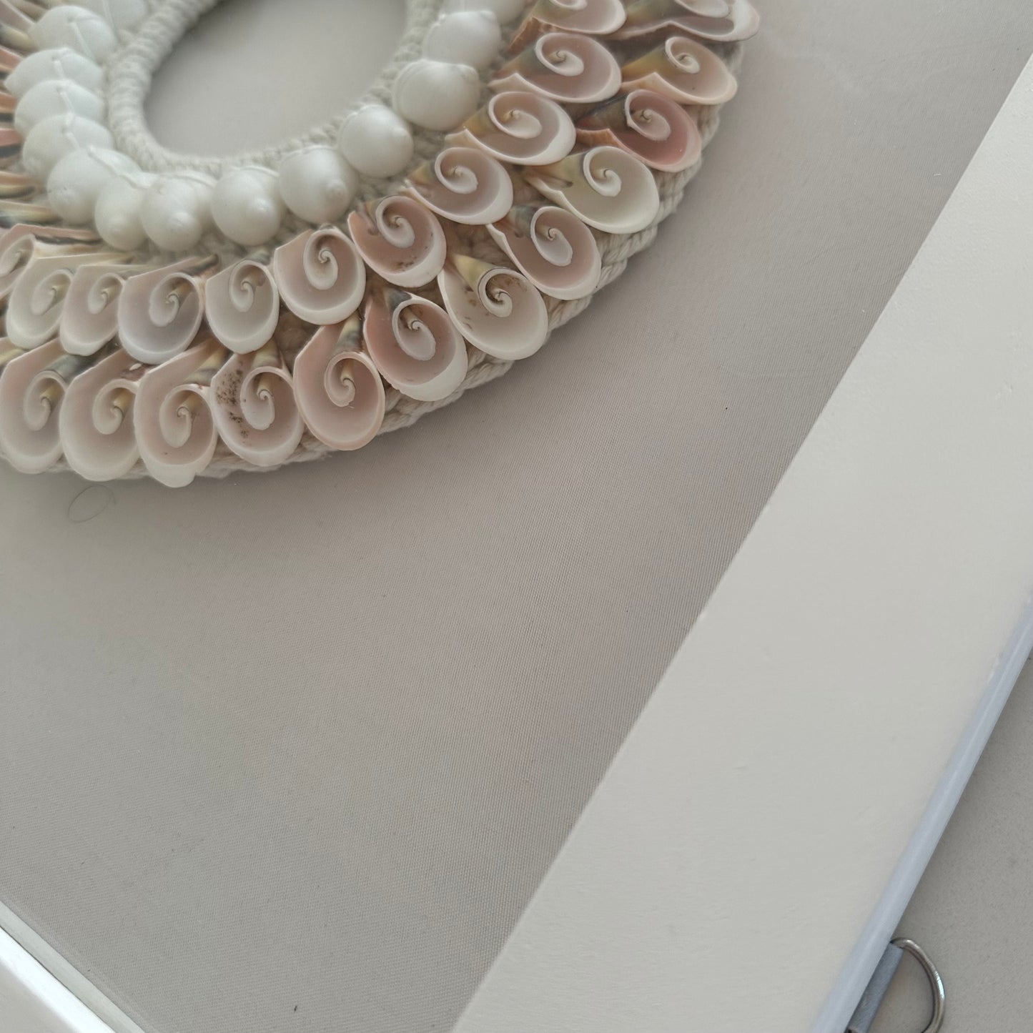 Boho Framed Wall Art | Shell Halo | Trumpet + Moon Shells