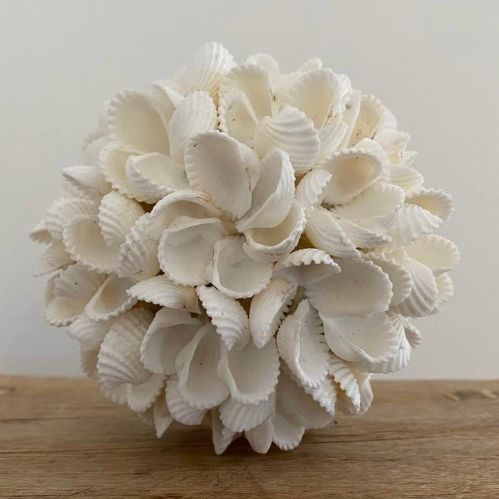 Shells Ball | Frangipani | 3 Sizes