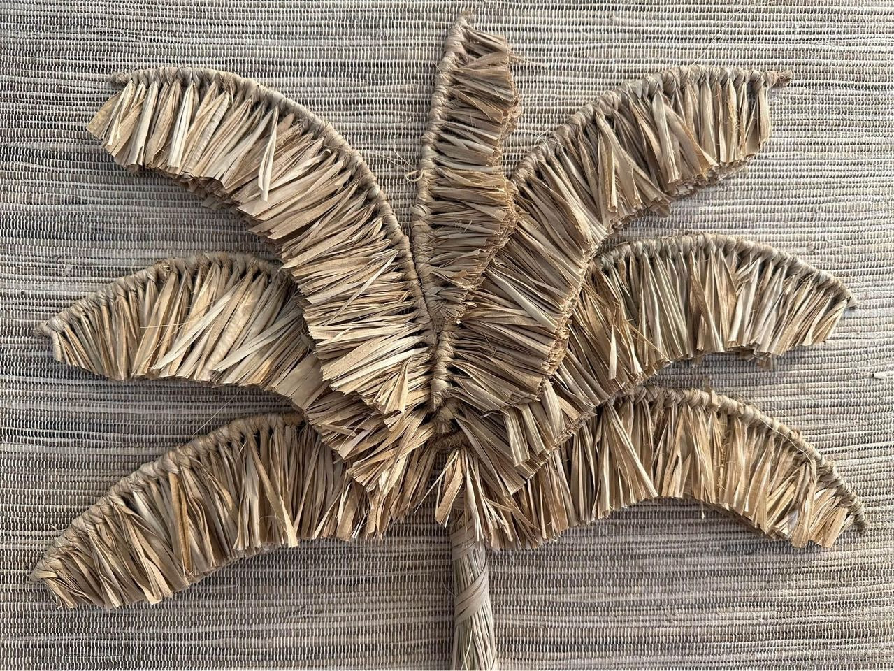 Tradewinds Natural Wall Decor | PALM | Fringe | ONLY 2 LEFT