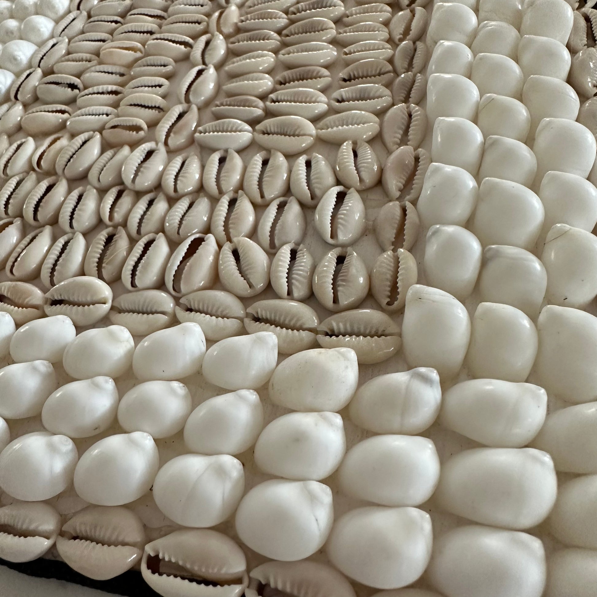 Rustic Core Shells Dual Rustic Arch Shell Wall Hanging – BoHo Dream Aus
