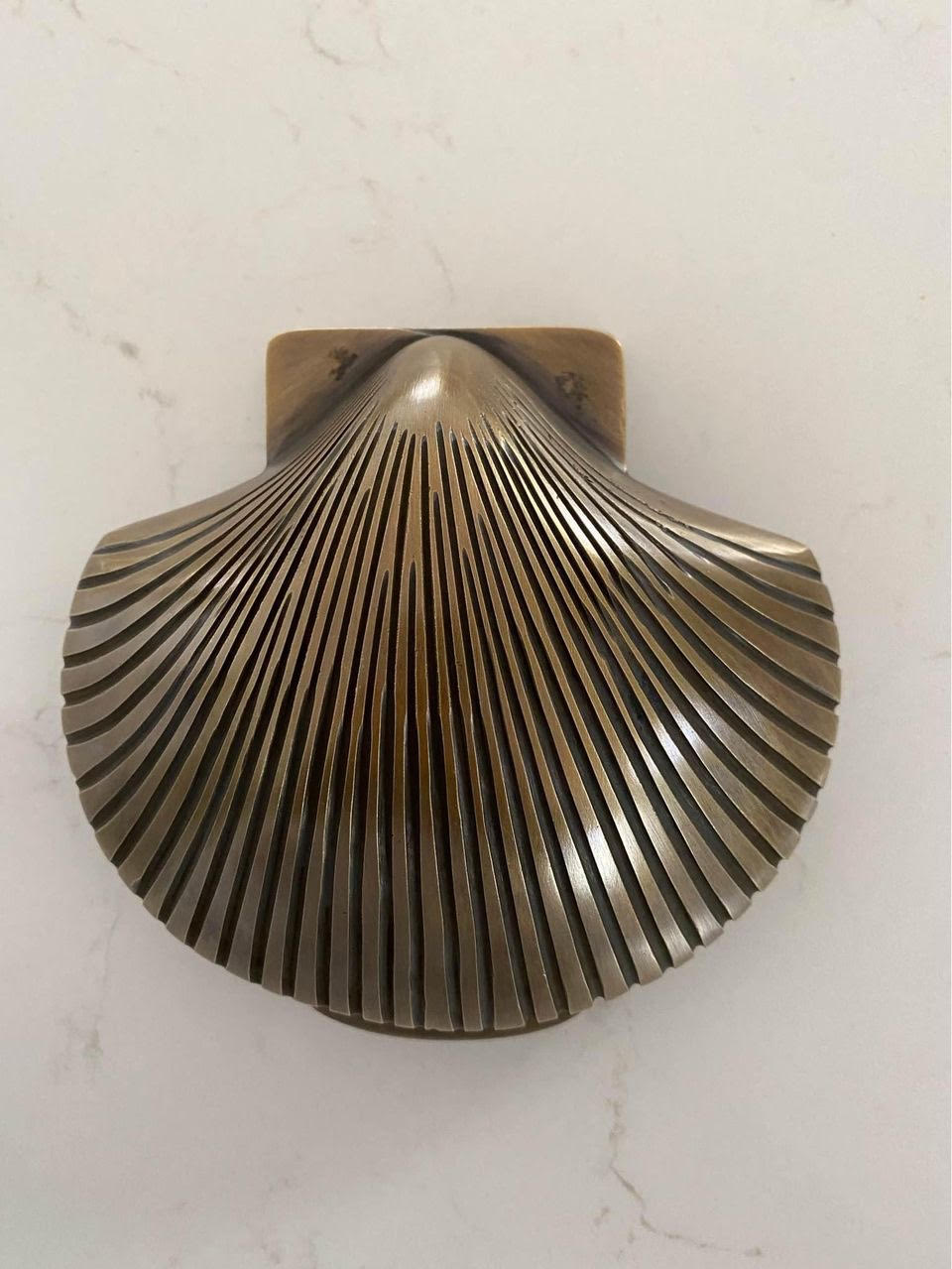 Brass Shell Door Knocker | Clam