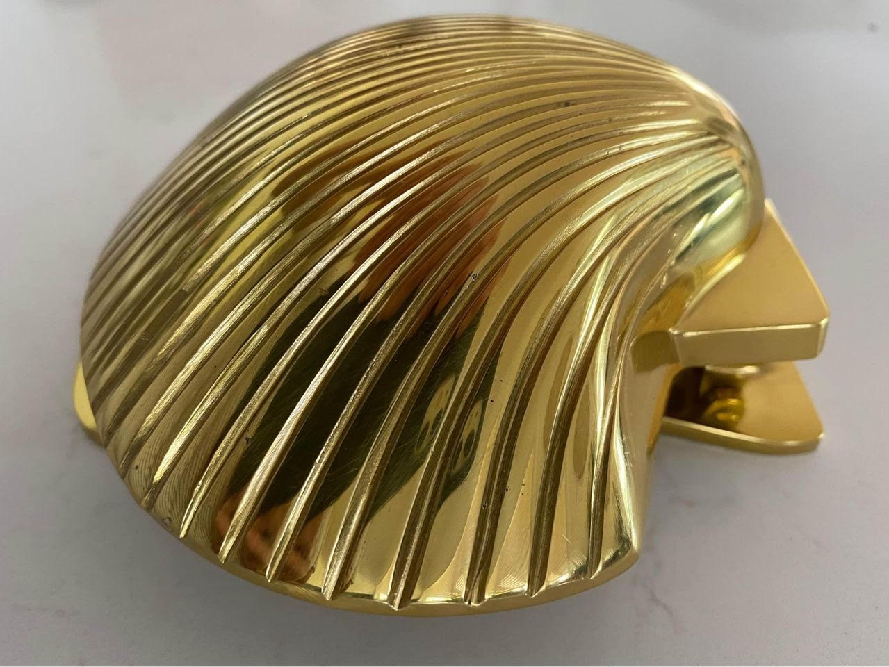 Brass Shell Door Knocker | Clam